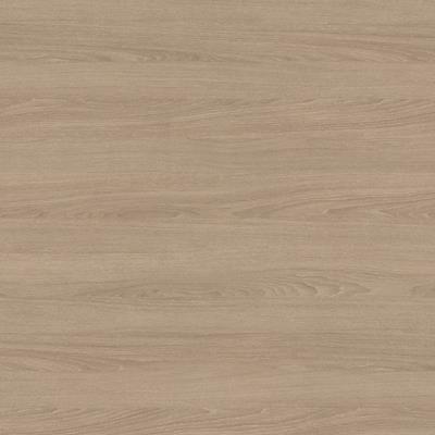 Sand Orleans Oak