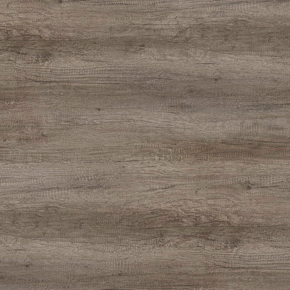 Nebraska Oak
