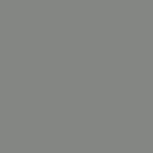 Dust Grey Swatch
